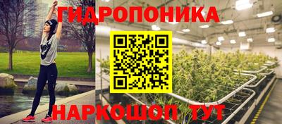 Альфа ПВП Обь