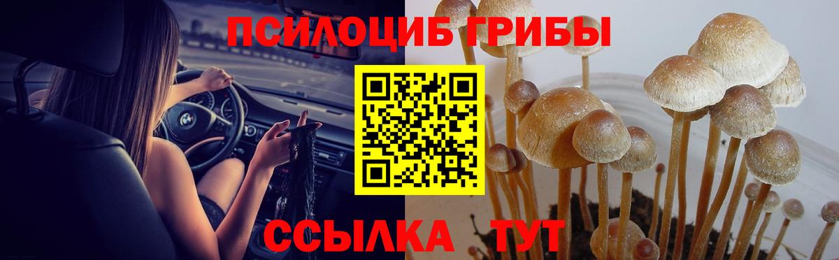 Галлюциногенные грибы ЛСД  Вход с VPN  Тверь  Псилоцибиновые грибы GOLDEN TEACHER 