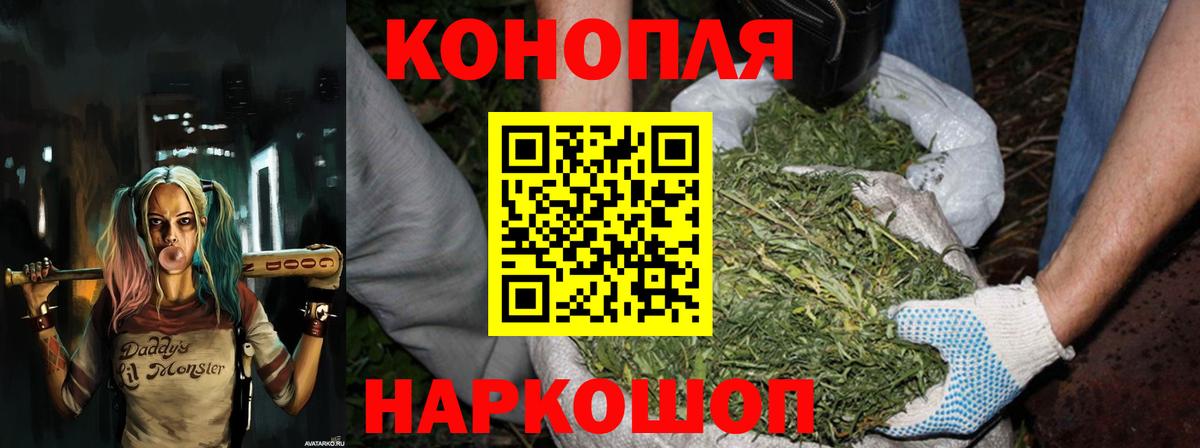 Каннабис OG Kush Тверь